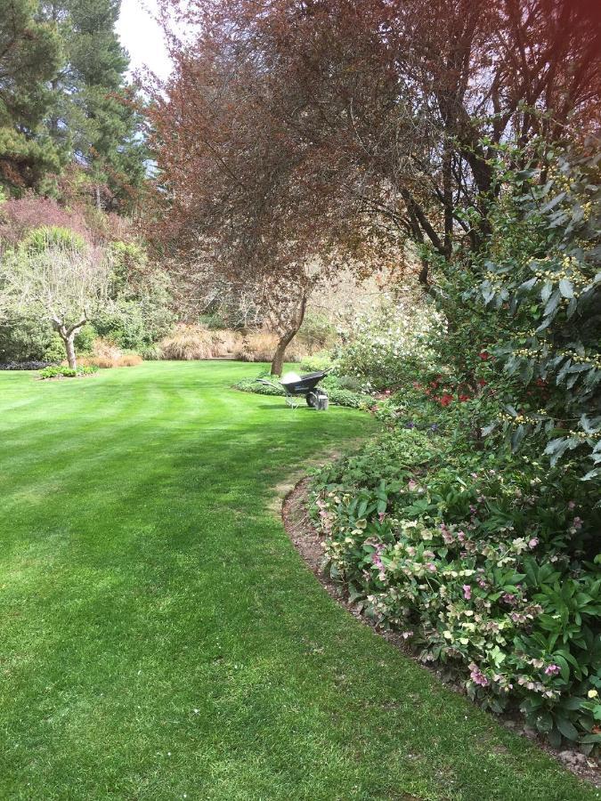 Mendip Hills Leader Valley Cottage - A Tranquil Retreat For Two מראה חיצוני תמונה